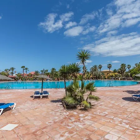 Fuerteventura Harmony