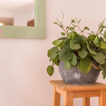 Fuerteventura Harmony Appartement Corralejo
