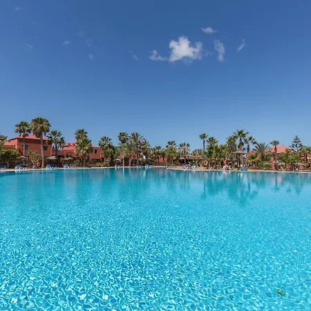Fuerteventura Harmony