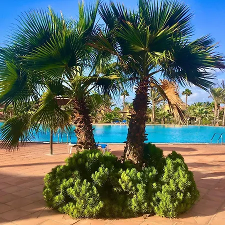 Daire Fuerteventura Harmony *